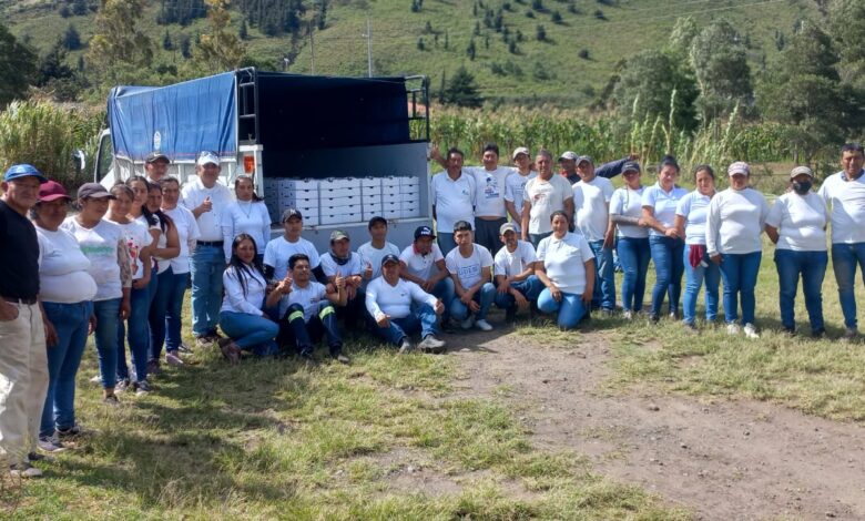Arándanos ecuatorianos llegan por primera vez al Asia de la mano de Nobis Fruit Company