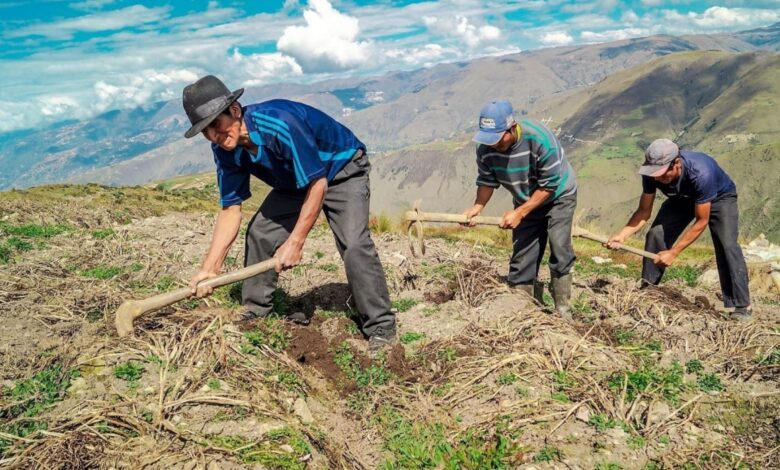 Indecopi premia aplicativo que promueve la inclusión financiera