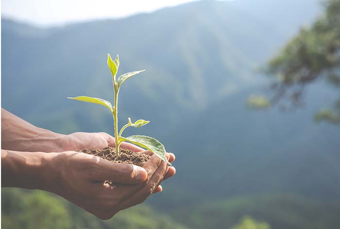 Huella de Carbono en el Perú: ¿Por qué es importante la participación del sector empresarial?