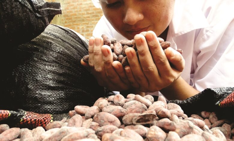 PRODUCE: Cusco potenciará estrategia de desarrollo regional con proyectos de innovación y transferencia tecnológica