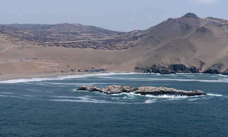 Las condiciones están dadas para la reactivación de la pesca y la reapertura de playas