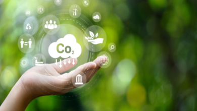 El trabajo hacia las cero emisiones netas: el aumento de los trabajadores de cuello verde en una transición justa