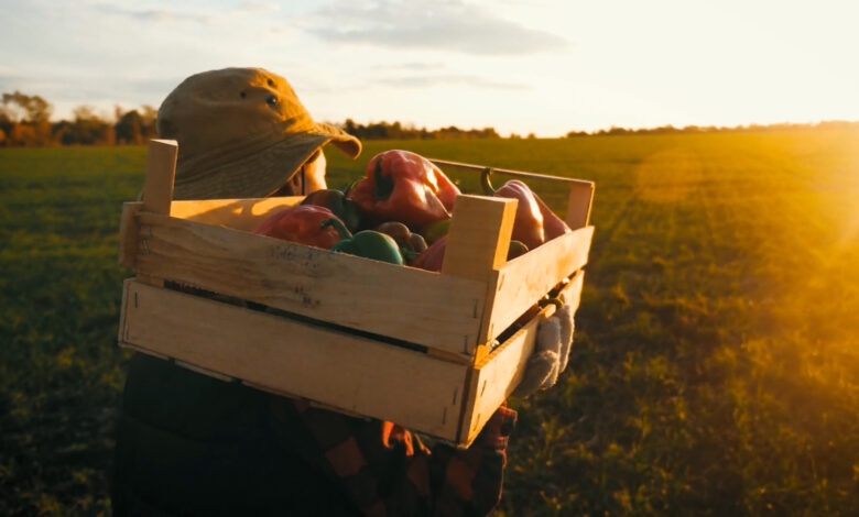 5 claves a considerar para la economía agrícola durante 2023