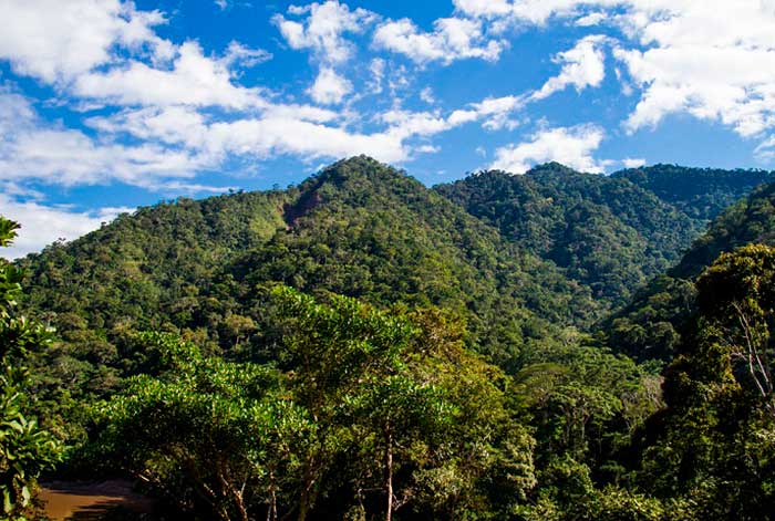 PROMPERÚ se une a Guardianes de la Naturaleza de WTTC y reafirma su compromiso con la sostenibilidad medioambiental