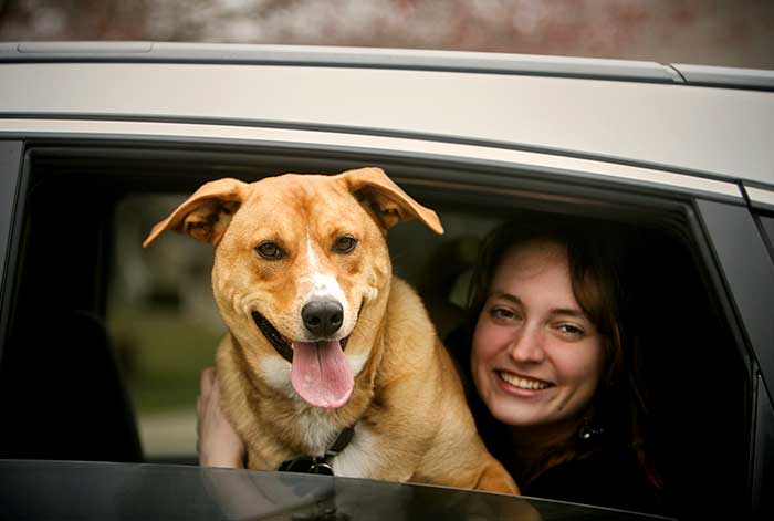 Cabify lanza Cabify Pet, la nueva categoría de servicio que permite viajar con mascotas