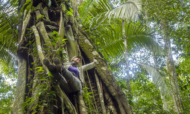 Empatía por la vida: La madre tierra como la principal maestra