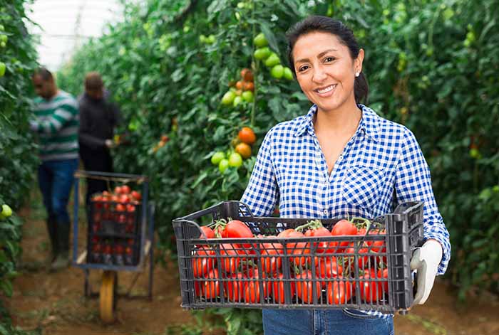 Latam Trade Capital: “El factoring como oportunidad para apoyar a las PYMES”