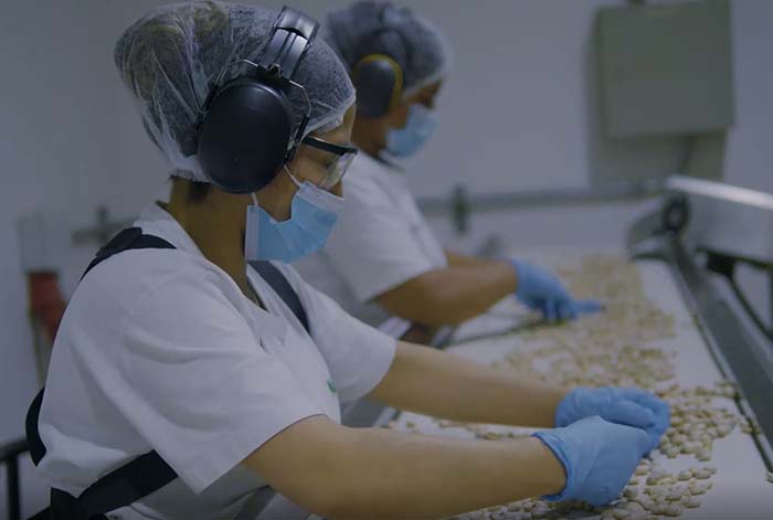 Empresa peruana produce carne vegetal a base de sacha inchi para la elaboración de hamburguesas y nuggets vegetarianos