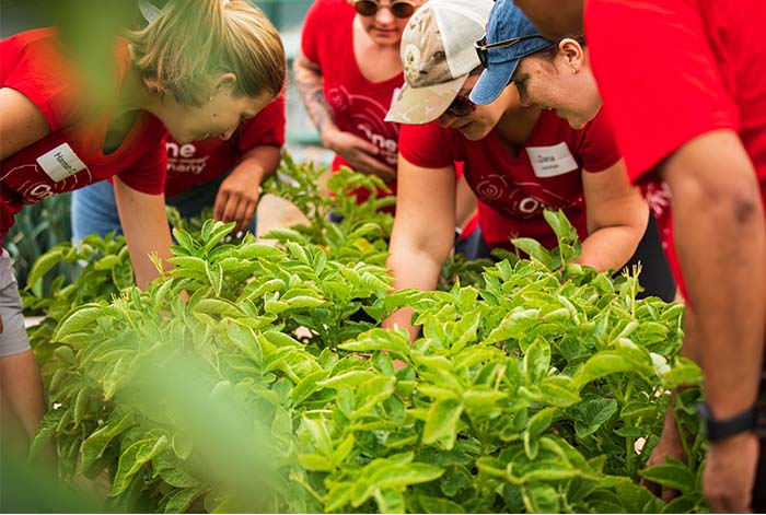 Red Hat anuncia su objetivo de alcanzar cero emisiones netas de gases de efecto invernadero en sus operaciones para 2030