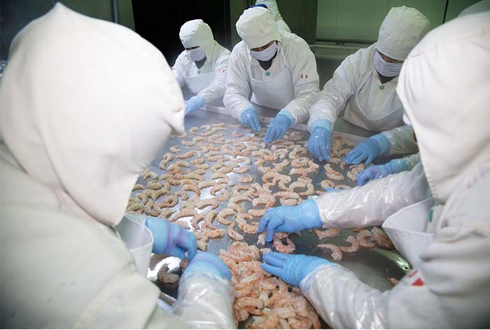Sanipes y MFDS de Corea suscriben acuerdo de control para las exportaciones peruanas
