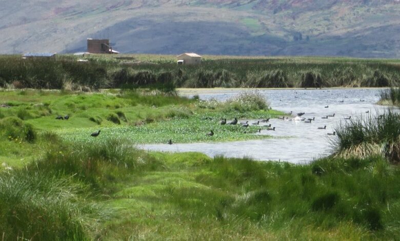 Perú lidera proyectos finalistas en la Décima Edición de Premios Verdes