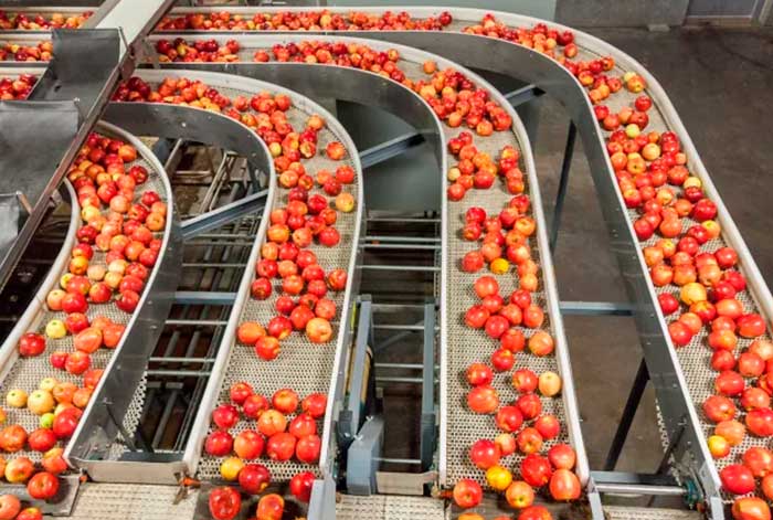 Tecnologías asociadas a la transformación digital impulsarán la industria de alimentos y bebidas en US$ 72.000 millones para el 2025