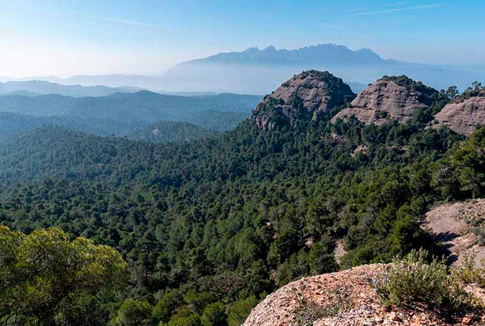 Huawei e IUCN lanzan proyecto para estudiar impacto de turismo en biodiversidad