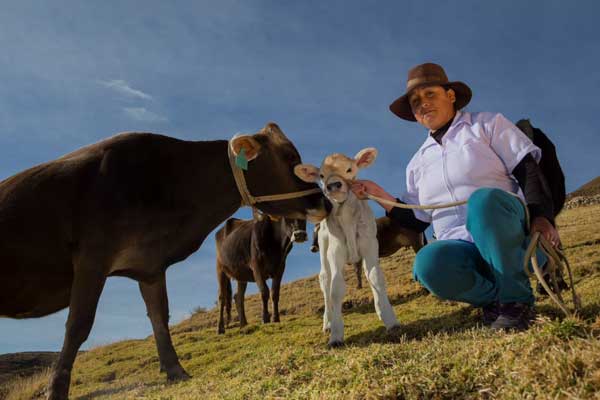 Merco Responsabilidad ESG 2022: Antamina se consolida como la mejor empresa del sector minero