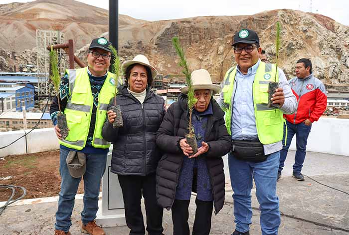 La Oroya: AMSAC sumó esfuerzos en reforestación de más de 500 quenuales y pinos