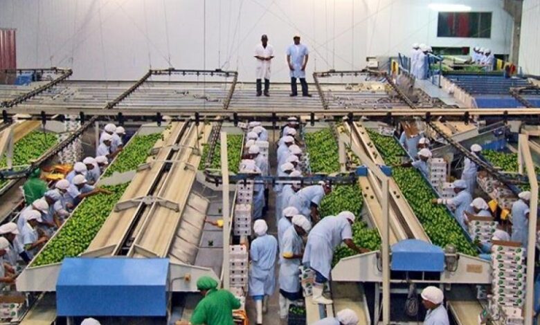 Proyecto de ley que elimina el régimen laboral en la exportación no tradicional elevaría los costos en las pequeñas y medianas empresas