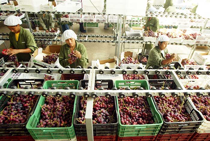 agroexportaciones peruanas cerraron en azul los últimos 7 años
