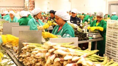 exportaciones peruanas del 2022 crecieron 4%