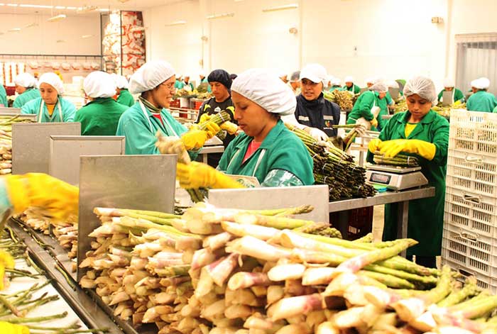 exportaciones peruanas del 2022 crecieron 4%