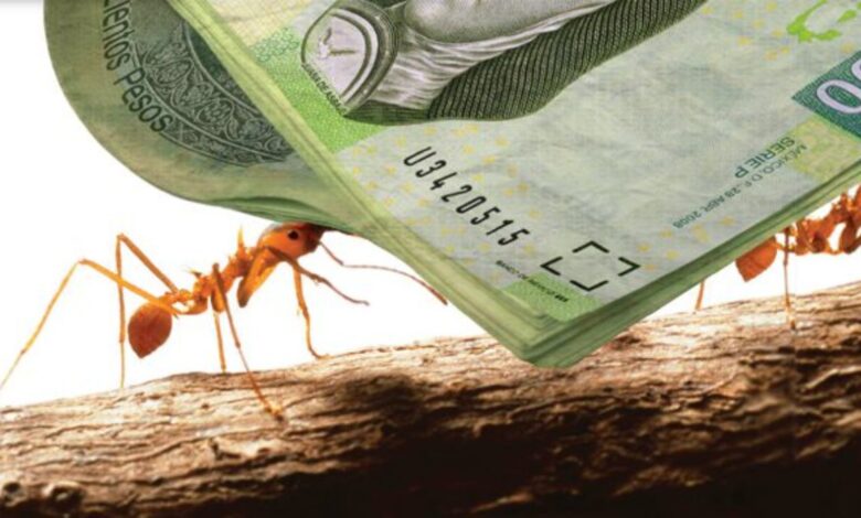 Sigue estos consejos y evita los “gastos hormiga” durante el verano