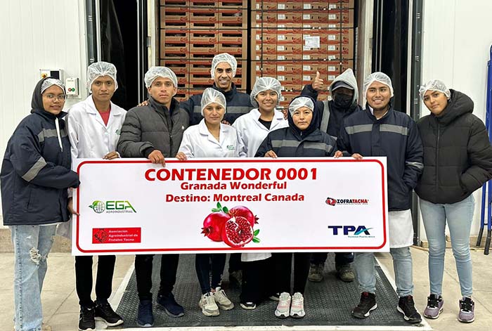 Zofratacna exportó el primer contenedor de granadas Wonderful a Canadá