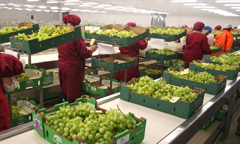 Business Empresarial.- El Centro de Investigación de Economía y Negocios Globales de la Asociación de Exportadores CIEN-ADEX estimó que los despachos agrarios peruanos (tradicionales y no tradicionales) superarían este 2023 los US$ 10 mil 100 millones en un escenario pesimista o los US$ 10 mil 400 millones en otro positivo, pero dependerá de algunos factores externos e internos. En la reunión del Comité de Agroindustrias, Alimentos y Bebidas de ADEX, el director del CIEN-ADEX, Edgar Vásquez Vela, indicó que el desempeño de este sector, que podría crecer entre 2% y 5%, será influenciado en especial por la evolución de la crisis interna en el país y el comportamiento económico de los principales socios comerciales. “También dependerá de la mejora de las condiciones del sector productivo y el destrabe de inversiones vitales para la agroindustria, la cotización internacional de los productos líderes exportados y el acceso a los fertilizantes útiles para asegurar la producción nacional”, explicó. En esa línea, mencionó otros factores, como la posible desaceleración del PBI y el comercio global. “El crecimiento económico peruano se desacelerará este 2023, y esa tasa no solamente es influenciada por riesgos externos, sino también por internos tales como los conflictos sociales, la inestabilidad política, el deterioro de expectativas, la corrupción y otros”, agregó. No obstante, mantuvo su optimismo pues las agroexportaciones, si bien no llegaron a los US$ 10 mil millones en el 2022, sumaron más de US$ 9 mil 876 millones 453 mil, lo que significó un incremento de 12.6% en comparación al 2021 (US$ 8 mil 767 millones 501 mil), logrando un nuevo récord histórico y demostrando su resiliencia frente a diversas circunstancias como la pandemia o la crisis interna. “Las agroexportaciones agroindustriales fue el sector más importante en términos de valor agregado dentro de las exportaciones no tradicionales. Los arándanos fue su partida N° 1 con US$ 1,366 millones 300 mil, mientras que la más dinámica fue la yema de huevo con un incremento de 2,657%. Los 3 principales productos no tradicionales enviados en el 2022: los arándanos, uvas y paltas, son del sector agro”, destacó. En la reunión participaron la presidenta y vicepresidenta del Comité de Agroindustrias, Alimentos y Bebidas, Amanda Gallegos y Silvia Medina, respectivamente; la gerenta central de Exportaciones, Ysabel Segura; la gerenta de Agroexportaciones, Claudia Solano y representantes de empresas asociadas. En detalle Según cifras del Sistema de Inteligencia Comercial ADEX Data Trade, los despachos agrarios primarios sumaron el año pasado US$ 1,349 millones, consiguiendo un alza de 57.3% respecto al mismo periodo del 2021 (US$ 857 millones 718 mil). Su partida N° 1 fue el café sin descafeinar ni tostar con US$ 1,231 millones, reflejando un incremento de 60.6% y acumulando el 91.2% del total. Le siguieron demás azúcares de caña y remolacha refinados en estado sólido y demás azúcares de caña. Sus mercados líderes fueron EE.UU., Alemania, Bélgica, Colombia, Suecia, Canadá e Italia. Por otra parte, los envíos agroindustriales alcanzaron los US$ 8 mil 527 millones, mostrando un aumento de 7.8% respecto al mismo periodo del 2021. Sus productos más importantes fueron los arándanos (incremento de 15.2%), las uvas (8.9%) y las paltas (-11.7%), que de forma conjunta concentraron el 42.5% del total agro no tradicional. La oferta llegó prioritariamente a EE.UU. (US$ 3 mil 092 millones) con una participación del 36.3% y una evolución de 14%, seguido de Países Bajos, España, Ecuador, China, Chile, Reino Unido, México, Hong Kong, Colombia, entre otros.