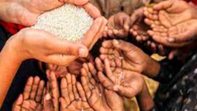 Más de 16 millones de peruanos fueron afectados por crisis alimentaria