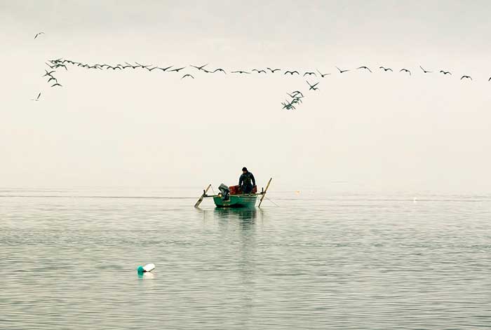Día Mundial del Clima: ¿Qué papel juega Perú en la producción de alimentos con menor huella ambiental?