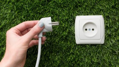 Día Mundial de la Tierra: 5 consejos para cuidar el planeta con acciones cotidianas