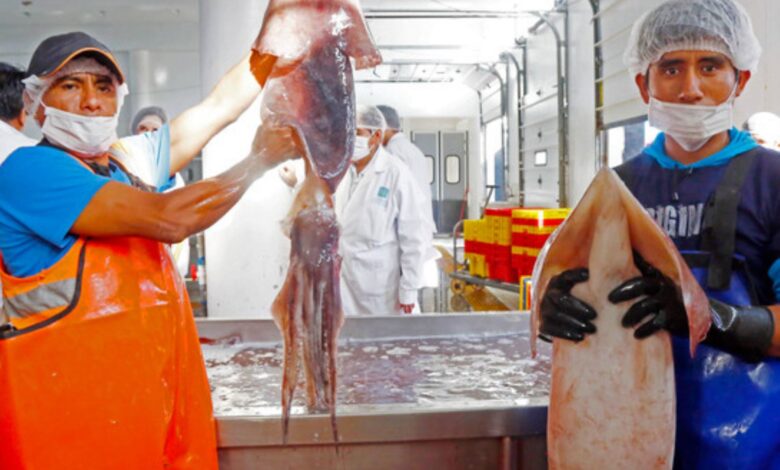 Cámara Peruana del Calamar gigante presentó proyecto de mejora en Feria de Barcelona
