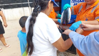 Donan más de 1.5 toneladas de pescado a ollas comunes de Coishco