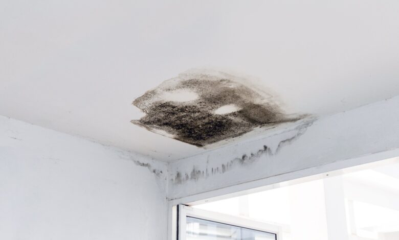 ¿Qué debo tener en cuenta para mantener segura la infraestructura de mi casa cuando llueve?
