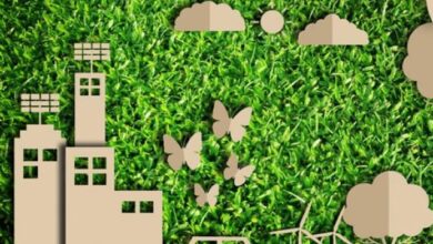 ¿Cuáles son los beneficios de implementar empaques verdes en la industria?