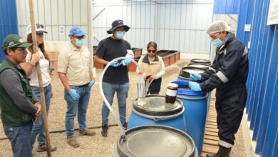 Anglo American y el INIA lanzan proyecto de bioinsumos para el agro moqueguano