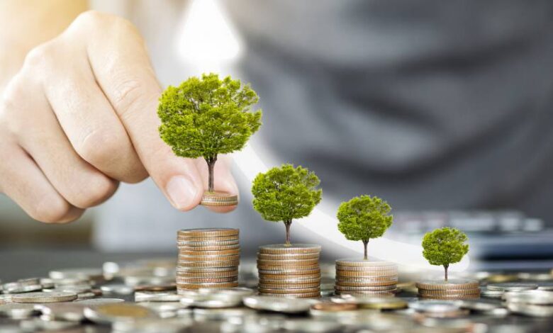 5 consejos para invertir tu dinero de manera exitosa