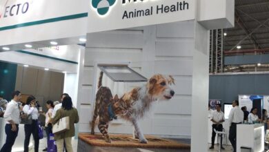 MSD Animal Health participó en el Latin American Veterinary Conference promoviendo la salud y el bienestar animal