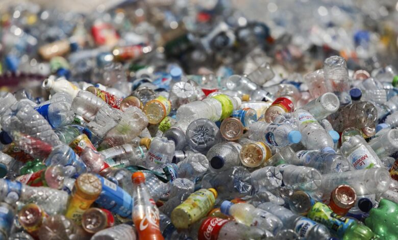 WWF pide prohibición mundial de plásticos de un solo uso "dañinos e innecesarios"