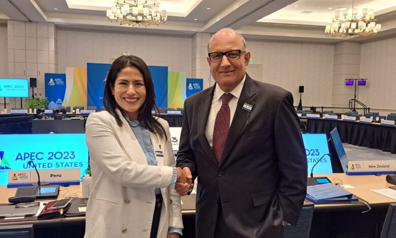 Ministra Lazarte resalta en cumbre APEC la importancia de igualdad de género y la inclusión en el transporte público