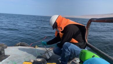 Estudios Ambientales: ¿Qué tan relevantes para las industrias, la población y el medio ambiente?