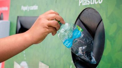 Día Mundial del Reciclaje: Cuatro consejos para reciclar en casa