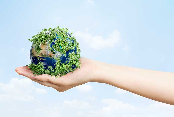 Cuando 'verde' no es realmente verde: el problema con el Greenwashing