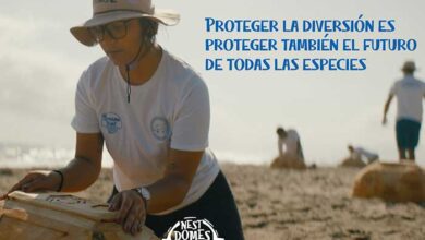 nest domes los nuevos e innovadores domos que pueden proteger el futuro de las tortugas marinas