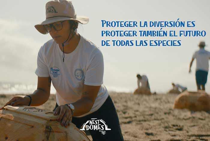 nest domes los nuevos e innovadores domos que pueden proteger el futuro de las tortugas marinas