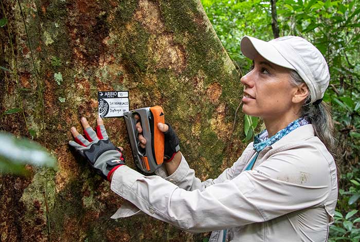 Audi Perú comprometido con la protección de 160 mil metros cuadrados de bosque Amazónico
