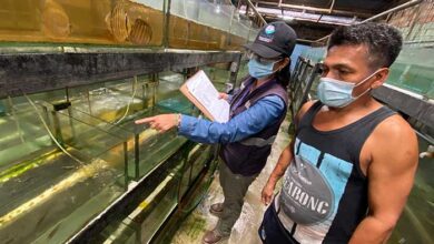 Sanipes armonizó certificado sanitario con Tailandia para la importación de peces ornamentales