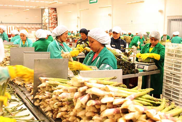 exportaciones peruanas cayeron -4.8% en el primer trimestre del año