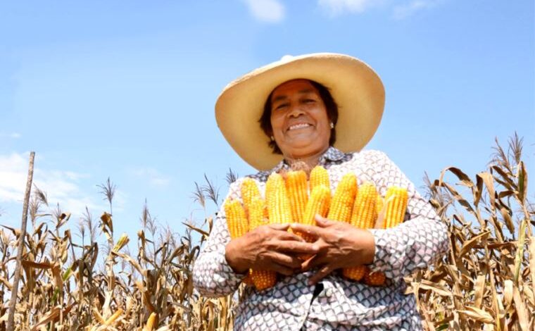 Producción nacional creció 0,31% en abril del presente año