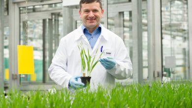 Día Mundial del Medio Ambiente: BASF comparte sus esfuerzos por un planeta más sostenible