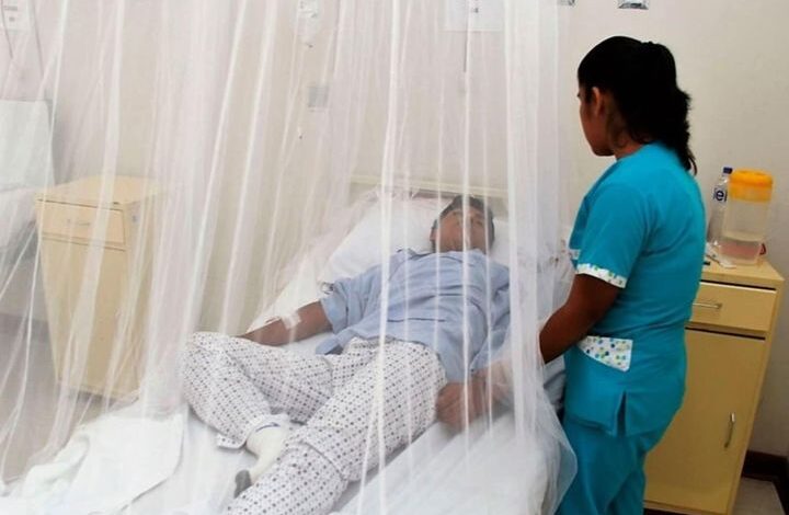 Nuevo fenómeno El Niño incrementaría casos de Dengue