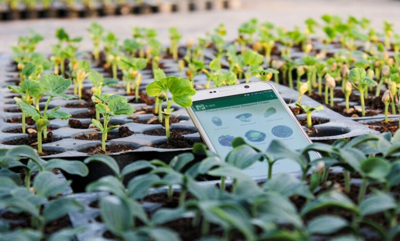 Desafío AgroFoodTech: CIVLAC hace un último llamado a postular a esta iniciativa